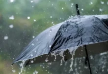 Lluvias