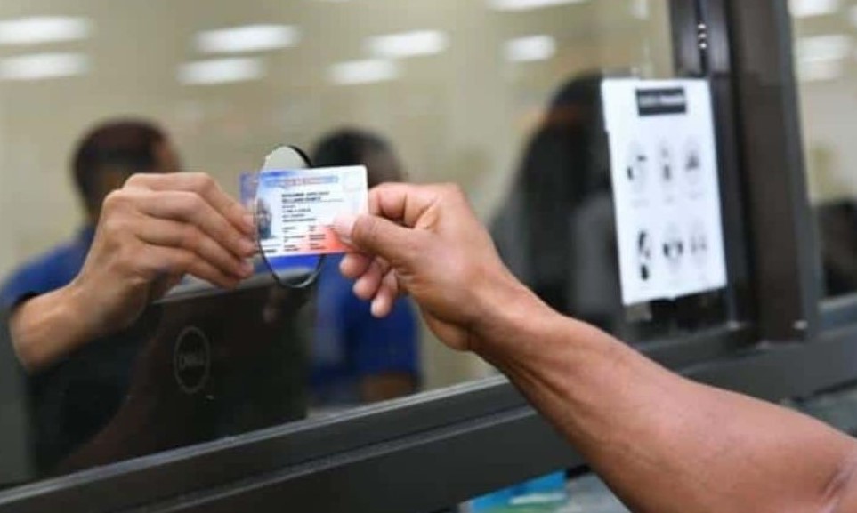 Licencias de conducir