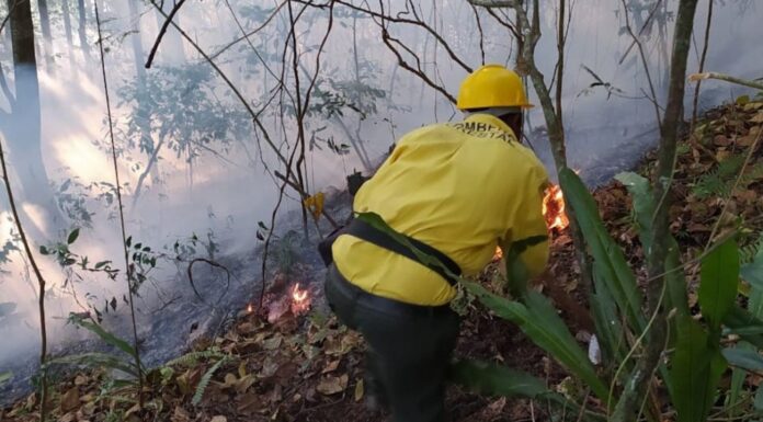 Incendio Forestal